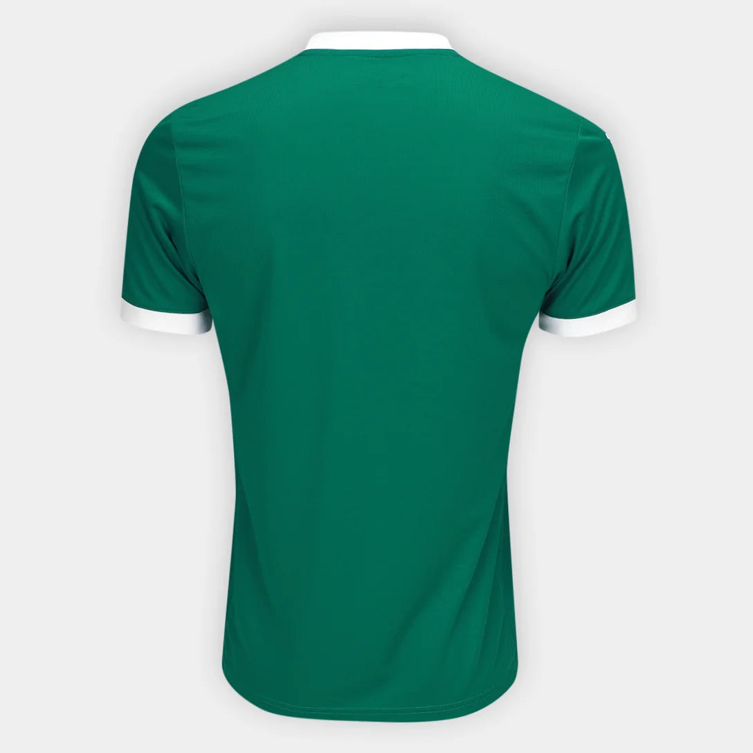 Camisa do Palmeiras 2025/26 Home Masculina