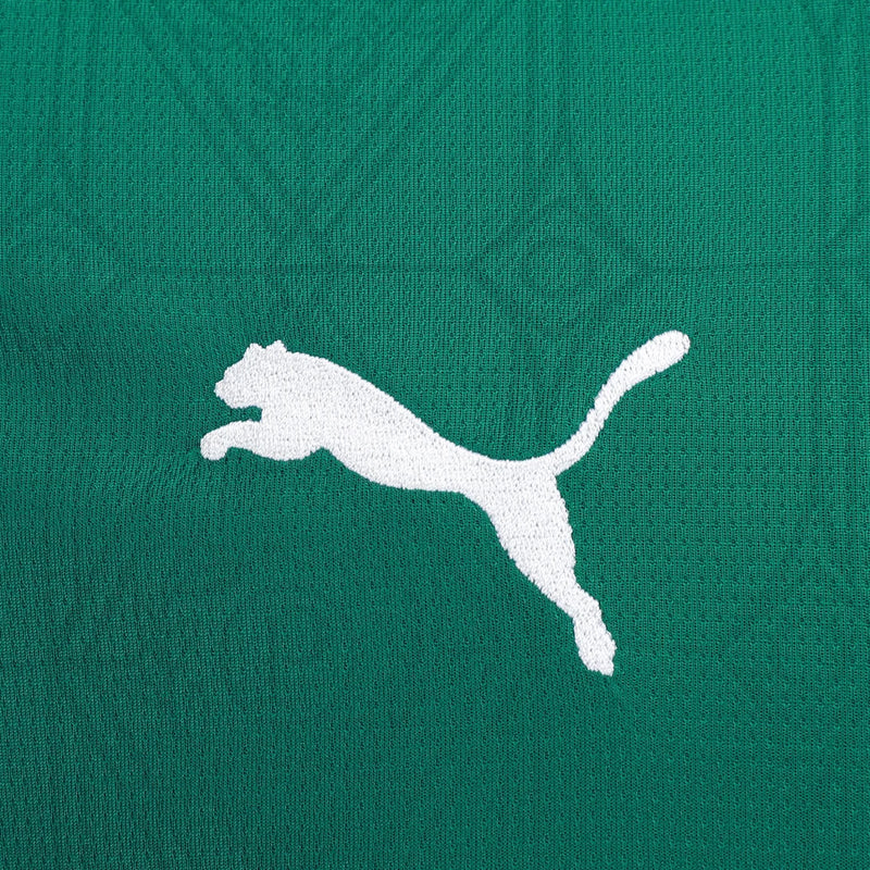 Camisa do Palmeiras 2025/26 Home Masculina