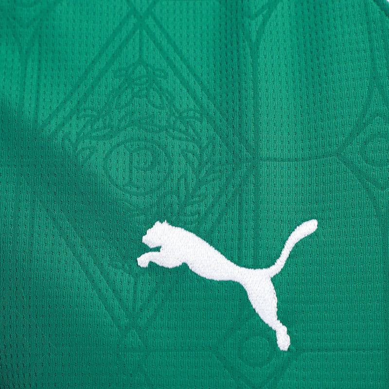 Camisa do Palmeiras 2025/26 Home Feminina