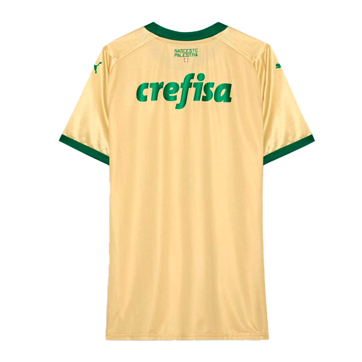 Camisa do Palmeiras 2024/25 Third Masculina