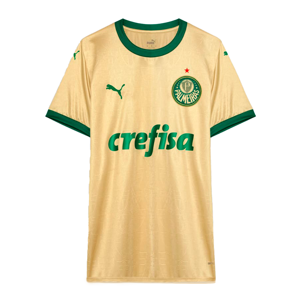 Camisa do Palmeiras 2024/25 Third Masculina