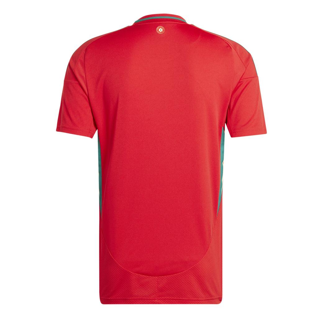 Camisa de País de Gales I Masculina - 2024 - Loja Futz - Camisas de Time