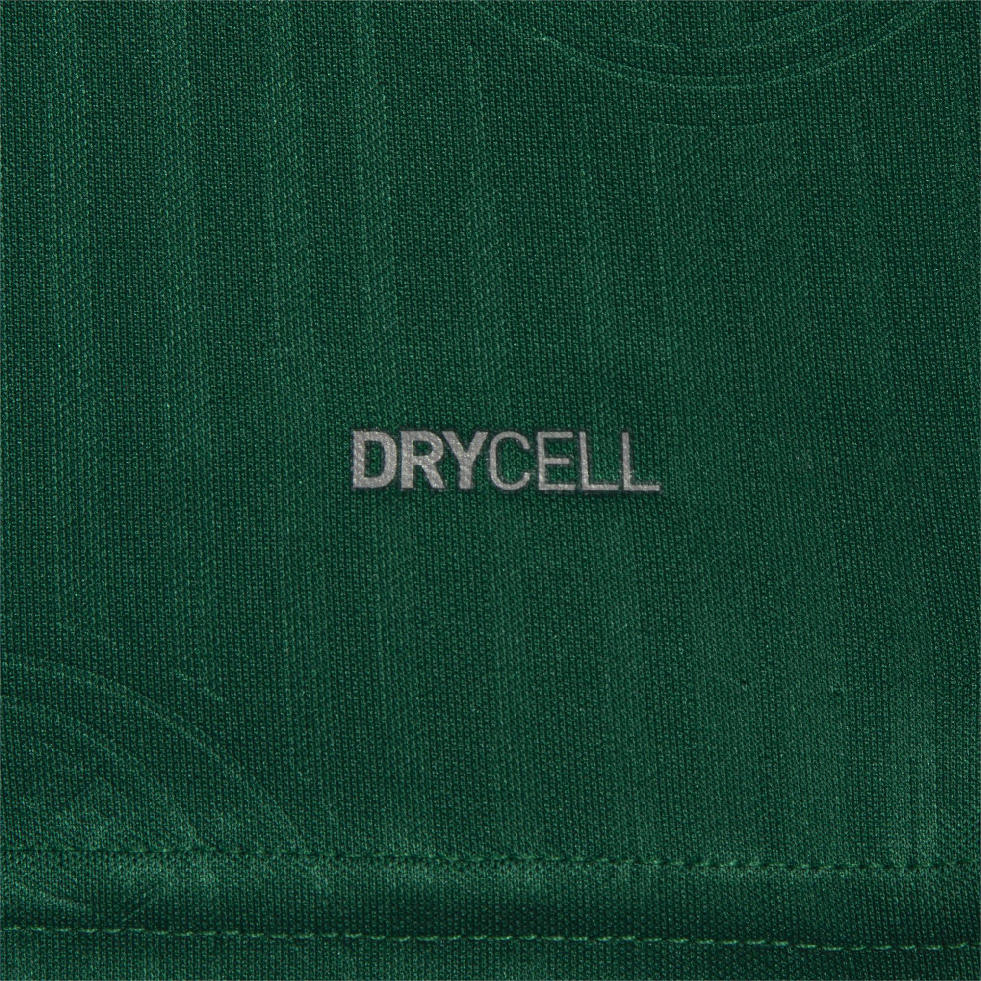 Camisa do Palmeiras I Masculina - 2024/25 - Loja Futz