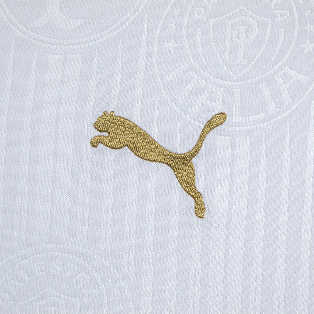 Camisa do Palmeiras II Masculina - 2024/25 - Loja Futz