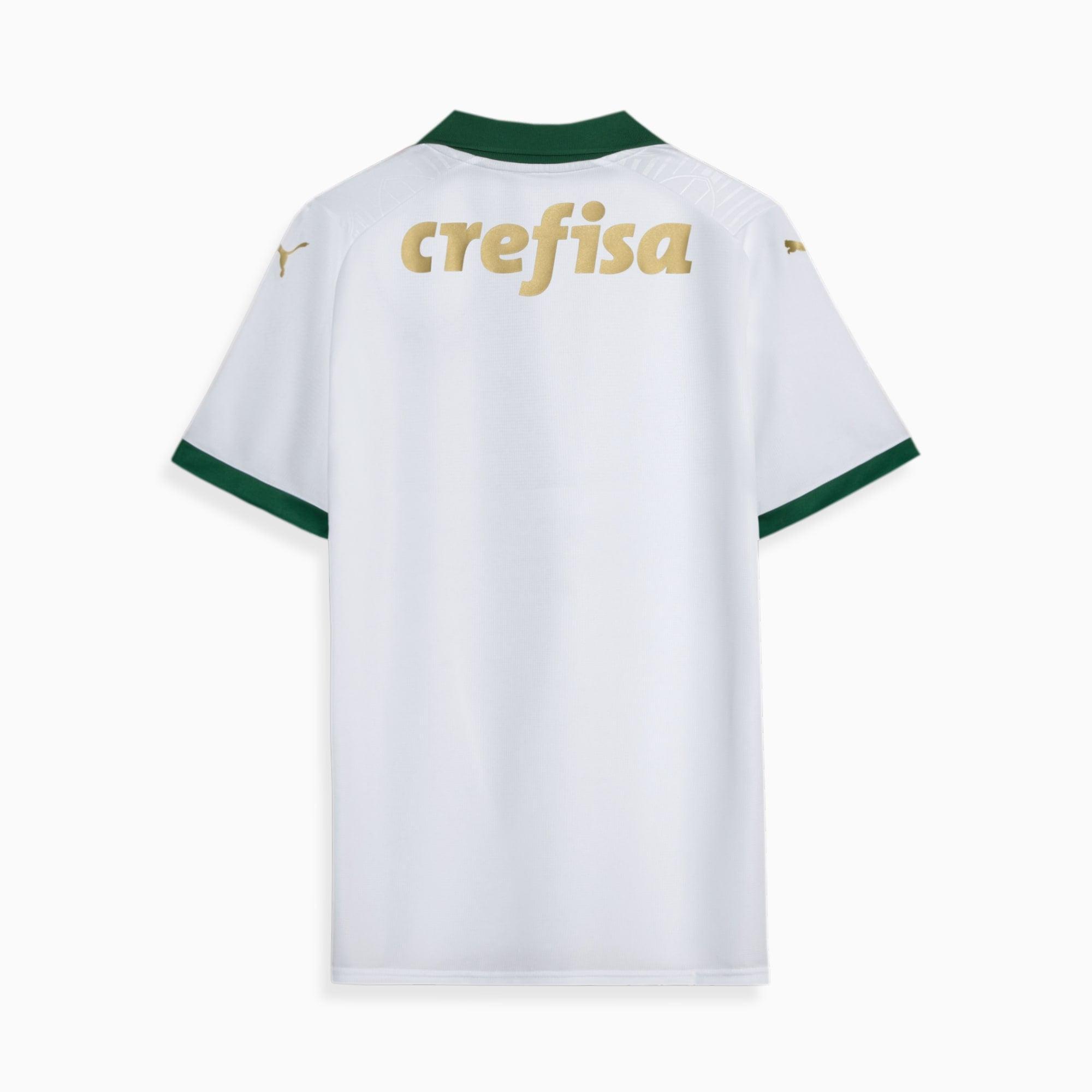 Camisa do Palmeiras II Masculina - 2024/25 - Loja Futz