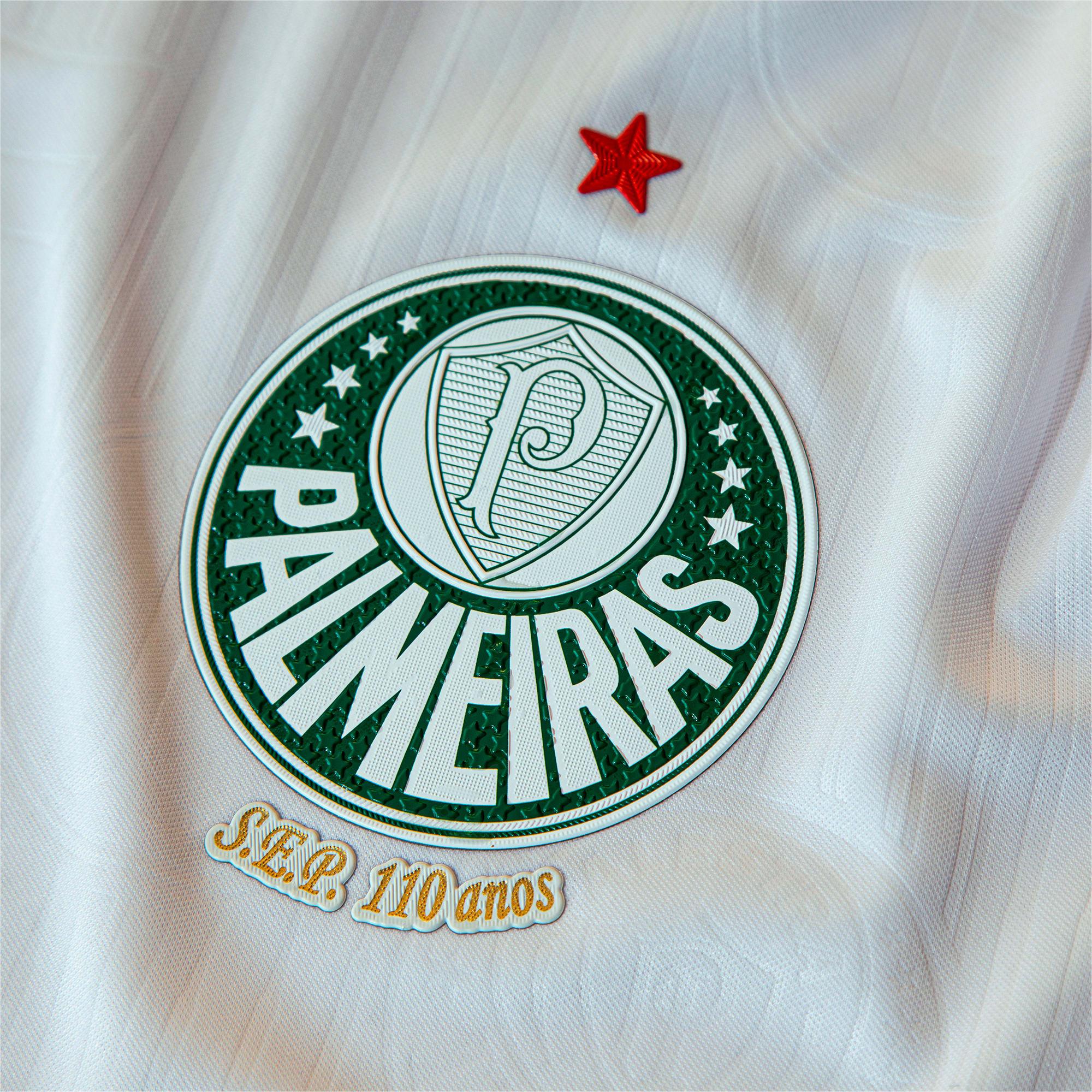Camisa do Palmeiras 2024/25 Away Masculina - Versão Jogador
