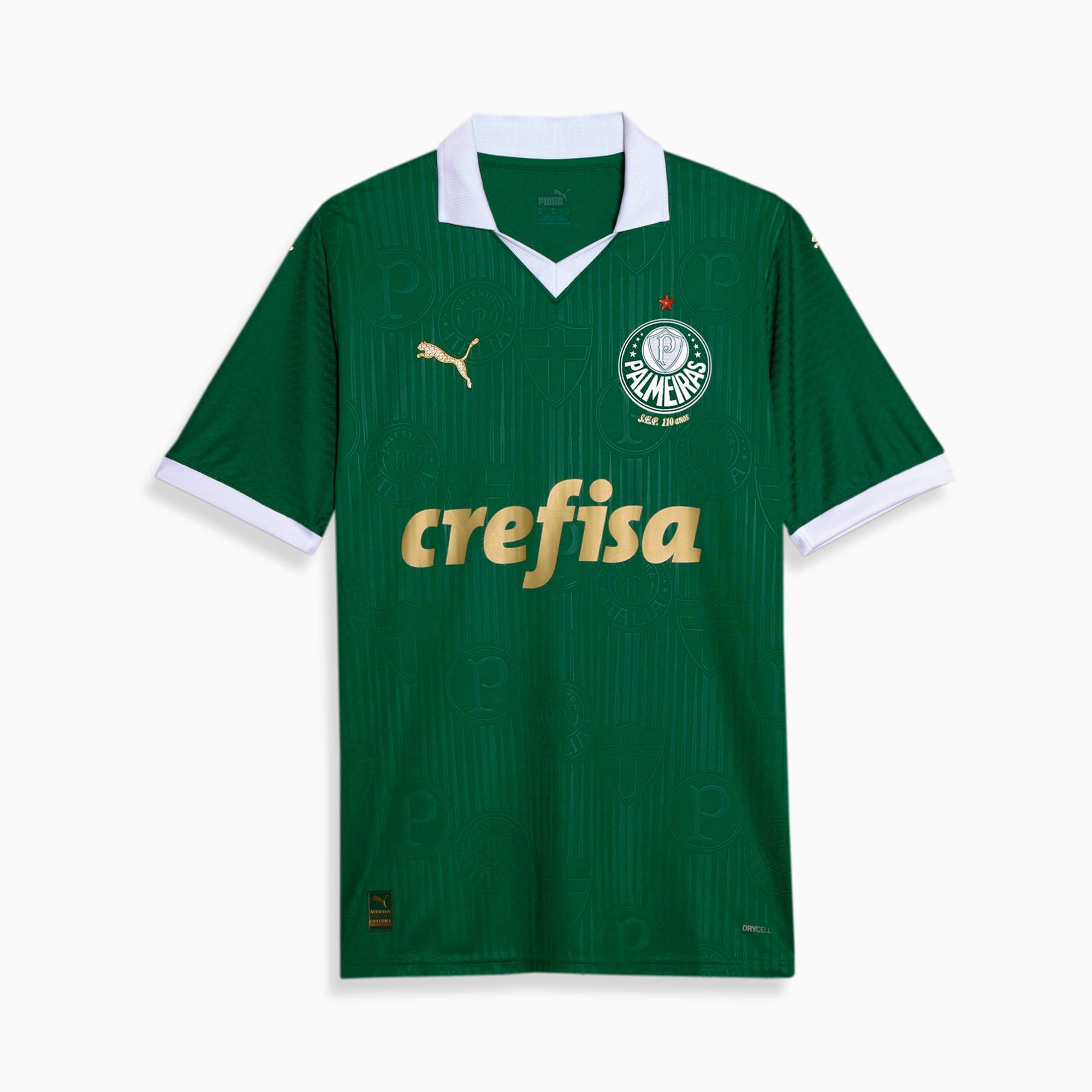 Camisa do Palmeiras 2024/25 Home Masculina - Versão Jogador