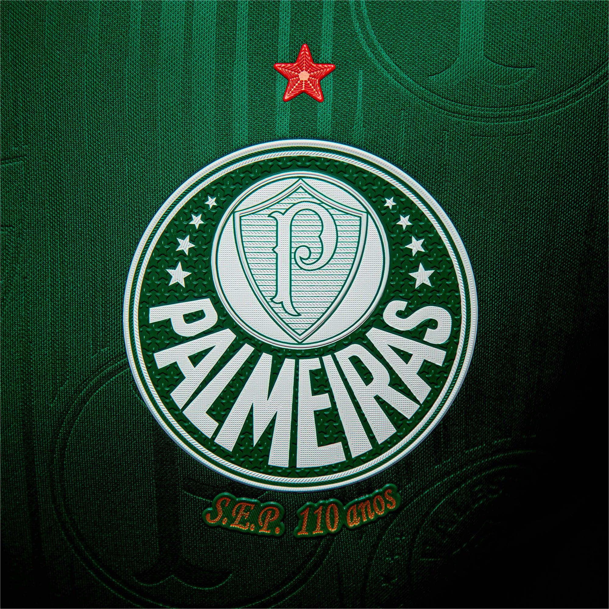 Camisa do Palmeiras 2024/25 Home Masculina - Versão Jogador